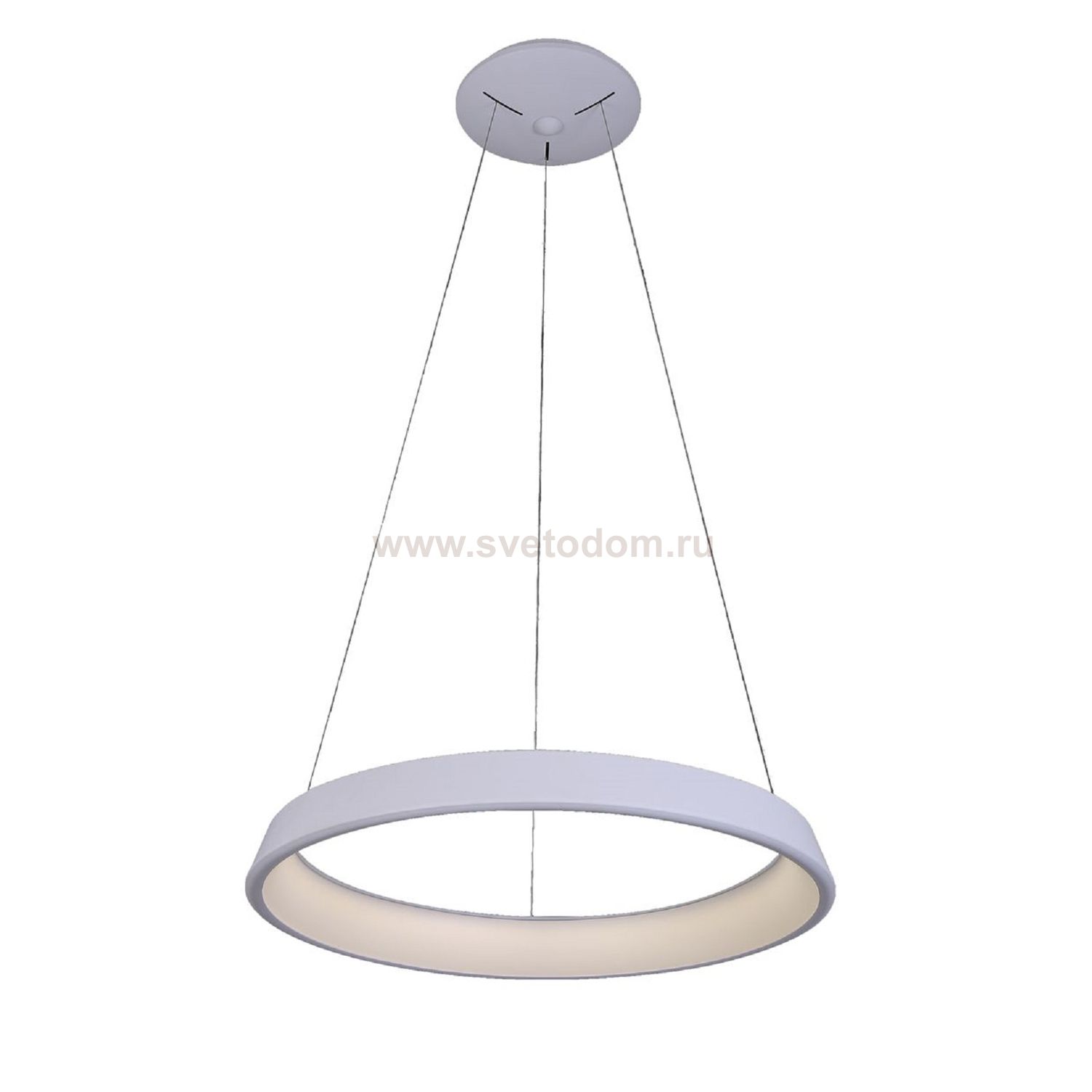 Люстра подвесная Omnilux OML-48613-50 Neoneli