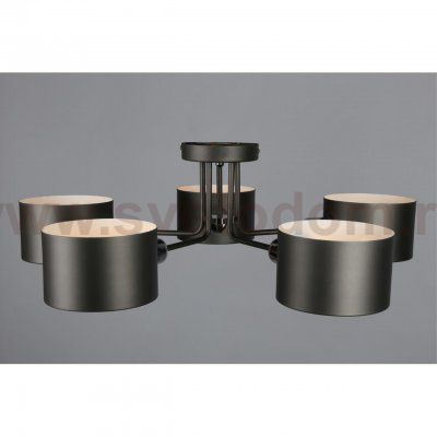 Люстра потолочная Omnilux OML-54507-05 Liser
