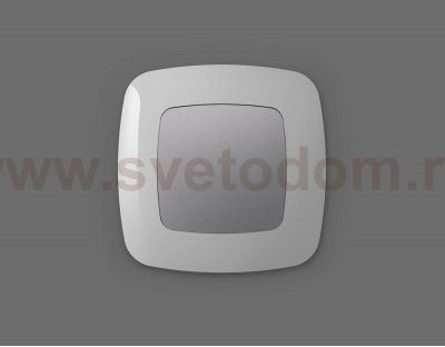 Лицевая панель OMEGA (Сталь матовый) заглушка для суппорта QUANT OP5160 Ambrella Volt