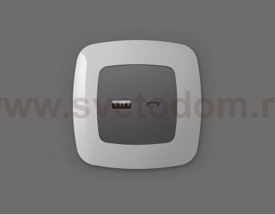 Лицевая панель OMEGA (Антрацит серый) для розетки 2USB тип A+C QUANT OP6610 Ambrella Volt