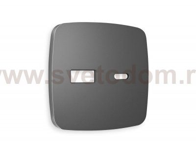 Лицевая панель OMEGA (Антрацит серый) для розетки 2USB тип A+C QUANT OP6610 Ambrella Volt