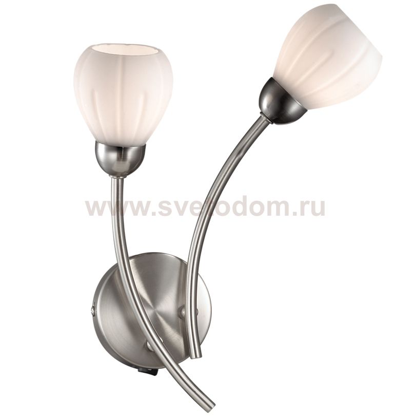 Светильник настенный бра Odeon light 2469/2W AKRON