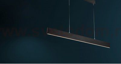 Подвесной светильник Maytoni P010PL-L23B4K Step