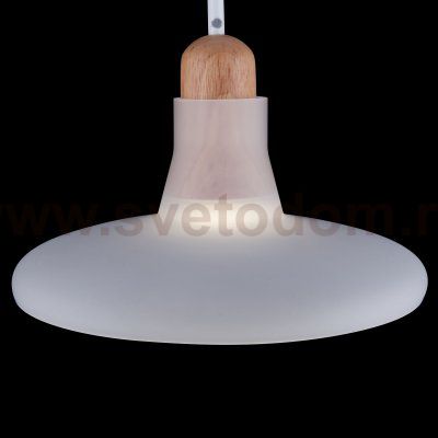 Подвесной светильник Maytoni P017PL-01W Ola