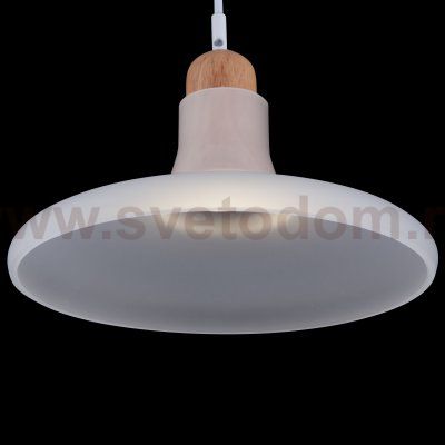 Подвесной светильник Maytoni P017PL-01W Ola