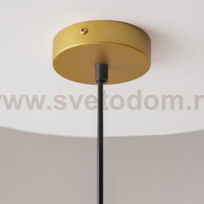 Светильник подвесной Maytoni P362PL-01G Telford