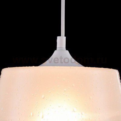 Подвесной светильник Maytoni P528PL-01W Walter Pendant