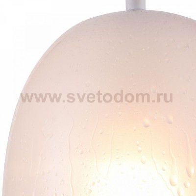 Подвесной светильник Maytoni P531PL-01W Walter Pendant