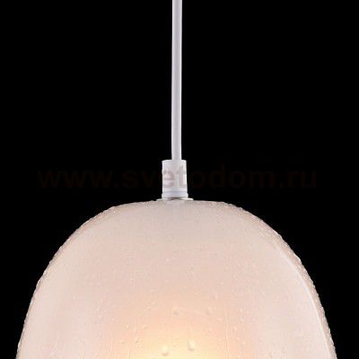 Подвесной светильник Maytoni P531PL-01W Walter Pendant