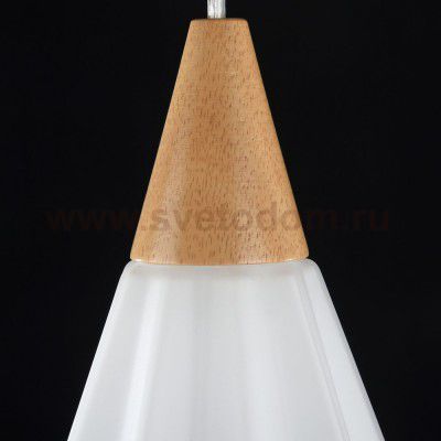 Подвесной светильник Maytoni P997-PL-01-R Alba