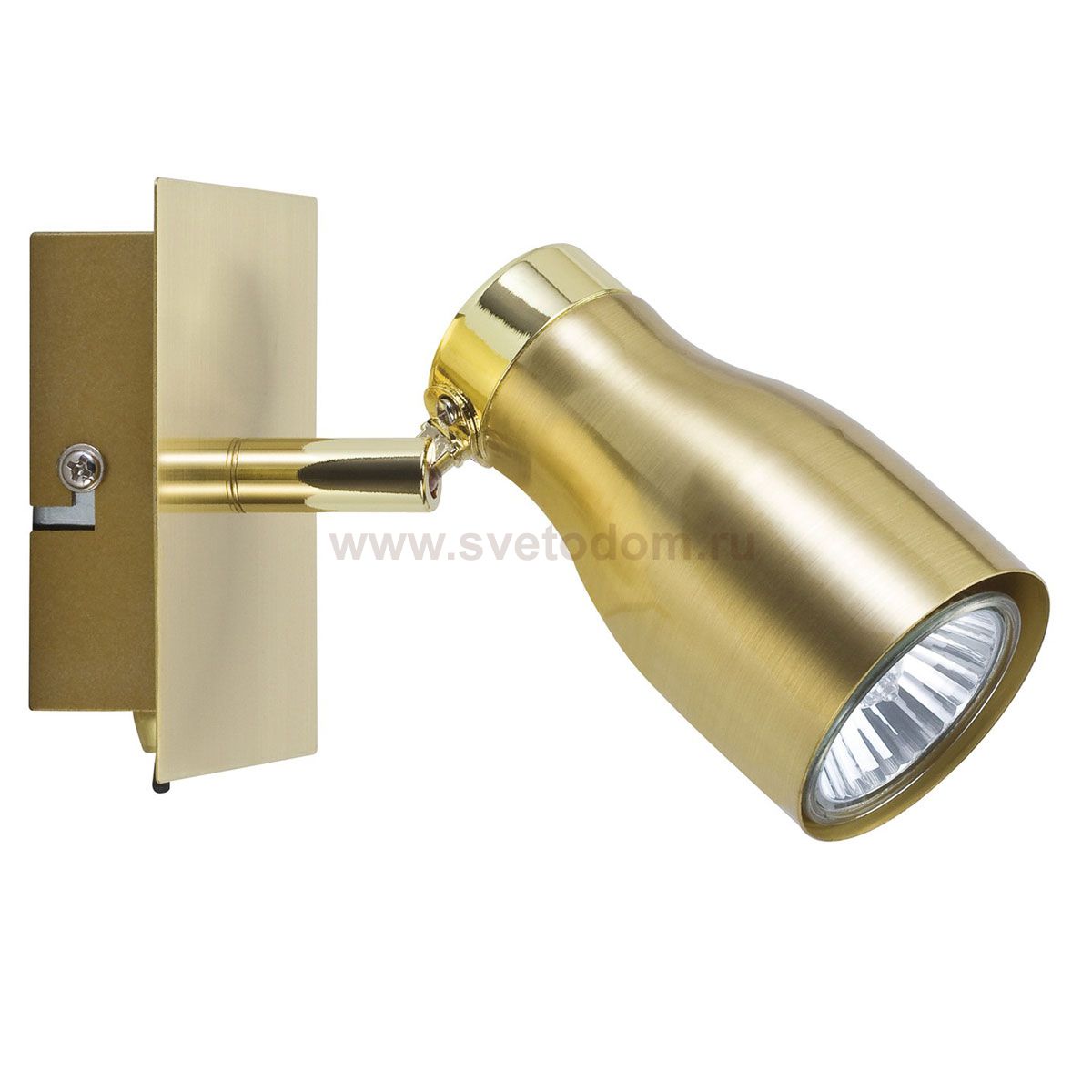 Светильник настенный Paulmann 66599