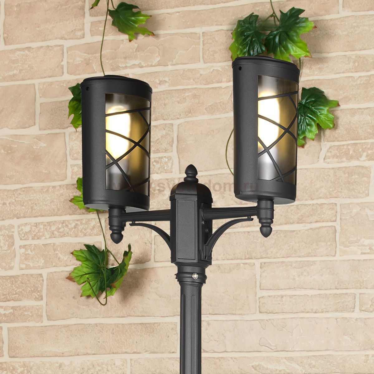 Светильник столб двойной Premier F/2 черный (GL 1017F/2) Elektrostandard