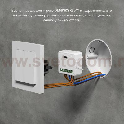 Одноканальное Wi-Fi реле-выключатель 1 x 2300 Вт / 250 Вт для LED Denkirs RL1001-SM