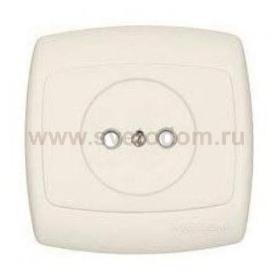 Розетка RS10-185-SI