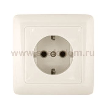 Розетка RS16-004-SI