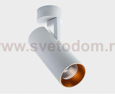 Ring for 15W gold кольцо к светильникам SD 3045; TR 3007 Italline