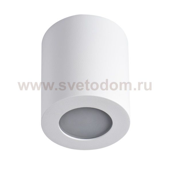 Накладной светильник влагозащищенный Kanlux SANI IP44 DSO-W (29241)