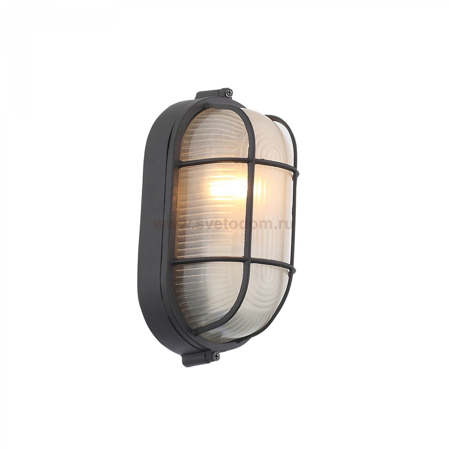 Светильник уличный настенный St luce SL075.411.01 VECCHIO