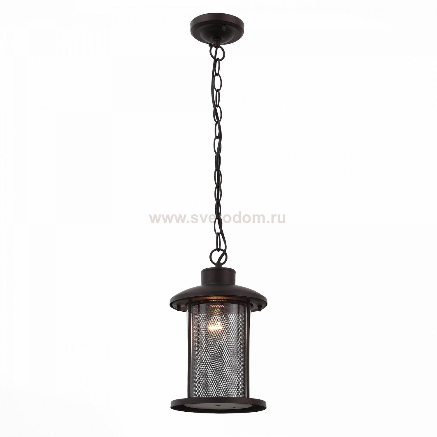 Светильник уличный подвесной St luce SL080.403.01 LASTERO