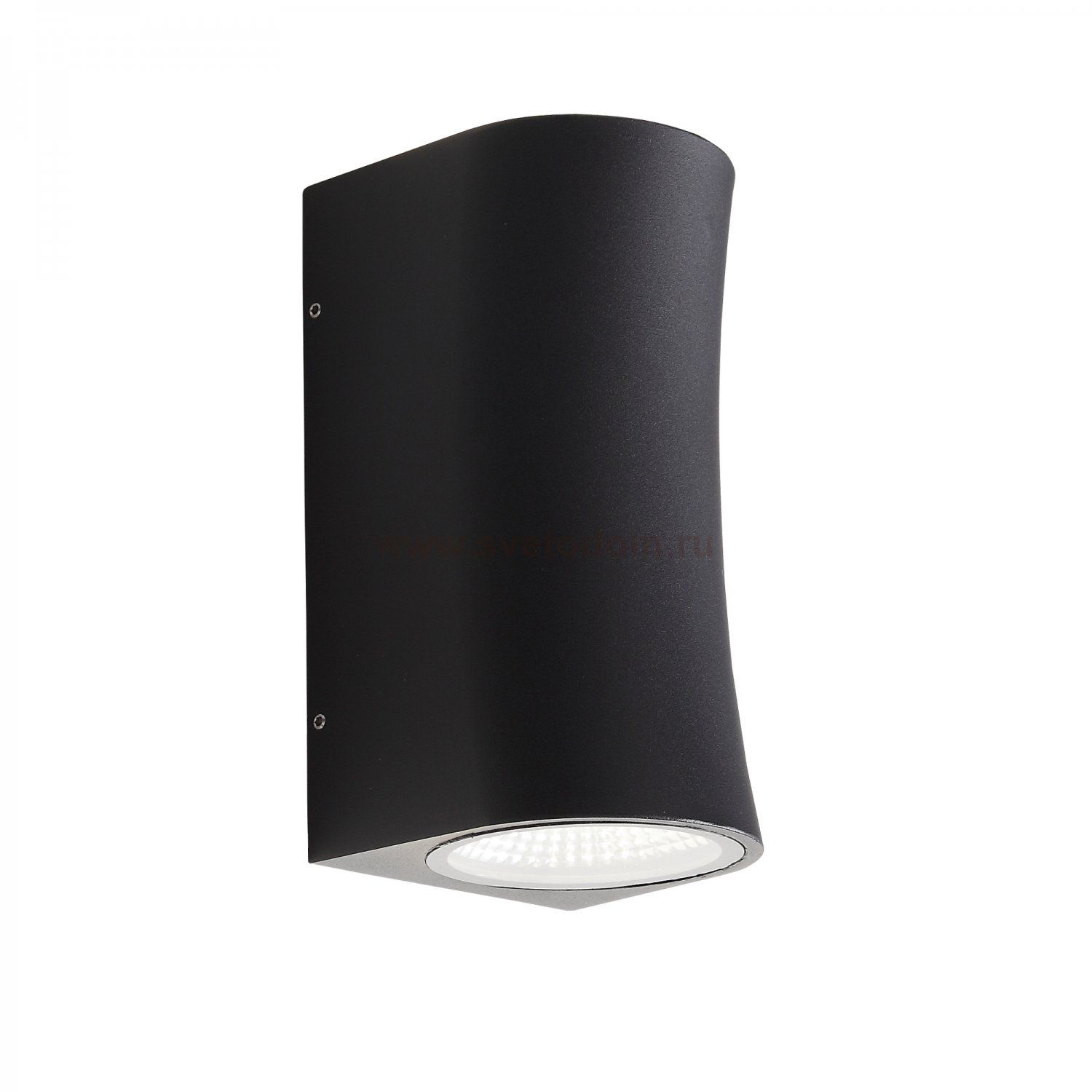 Светильник уличный настенный St luce SL088.411.02 DEALE