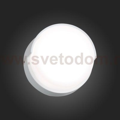 Светильник уличный настенный St luce SL090.511.01 LINATA