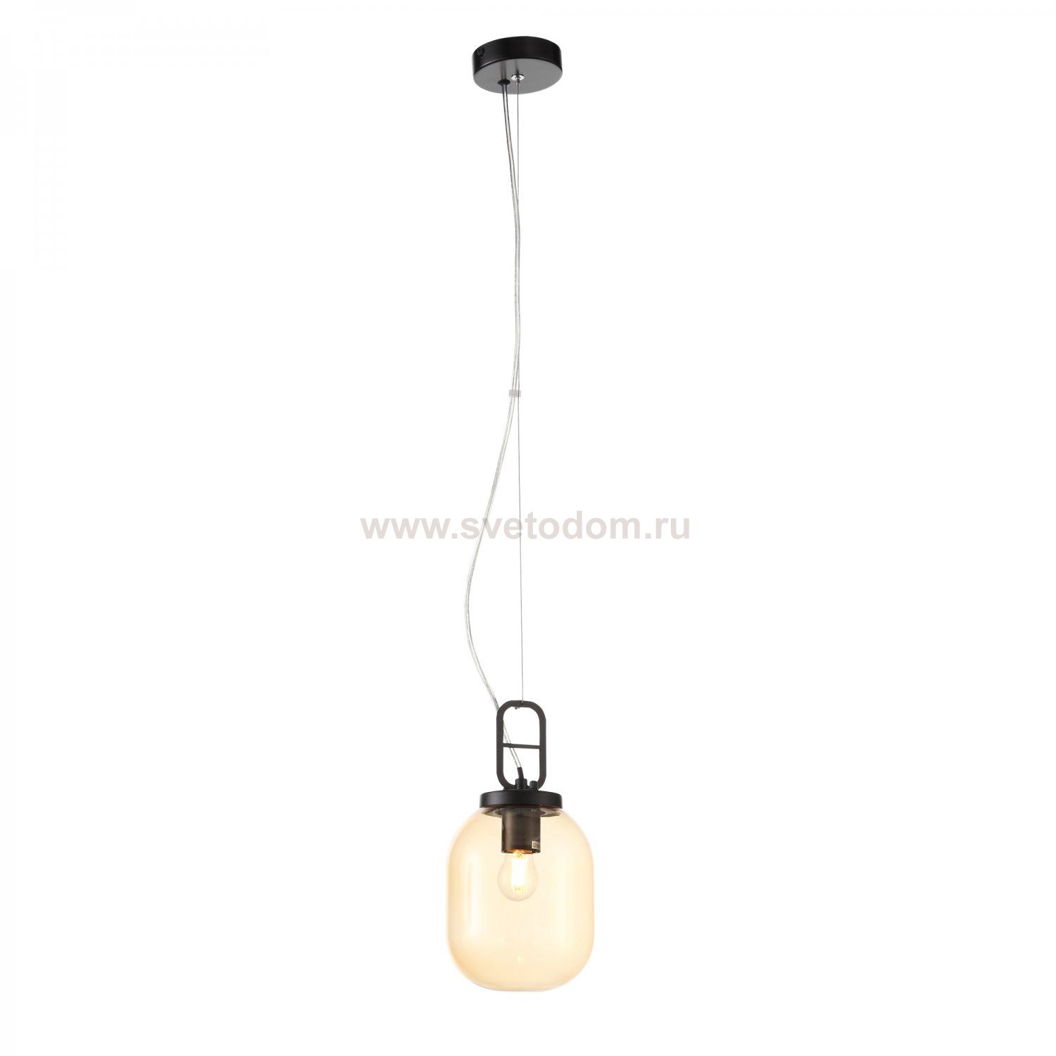 Светильник подвесной St luce SL1050.403.01 BURASCA