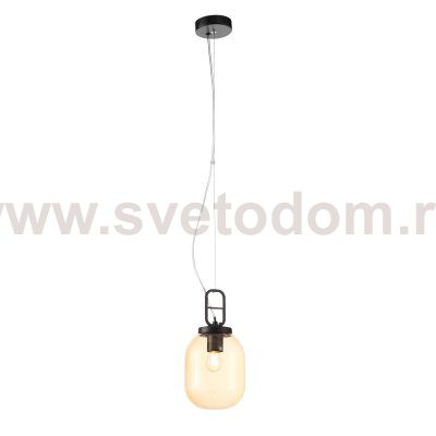Светильник подвесной St luce SL1050.403.01 BURASCA
