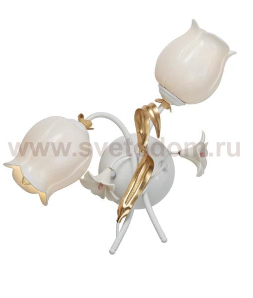 Настенный бра St luce SL109.501.02