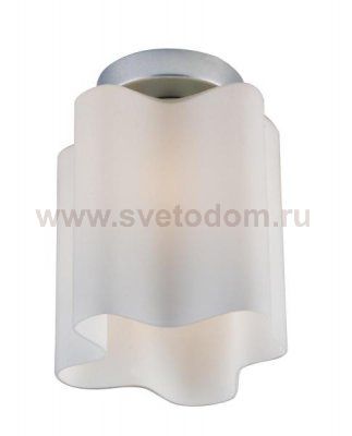 Светильник потолочный St luce SL116.502.01 ONDE