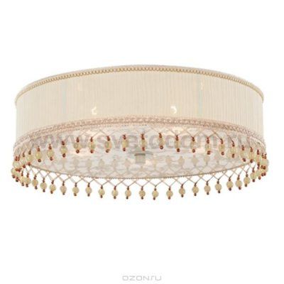 Светильник потолочный St luce SL141.502.05 SL141