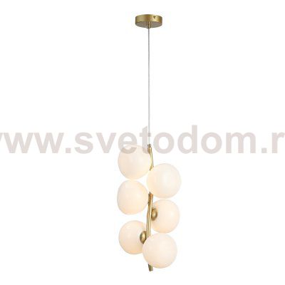 Светильник  с лампой St luce SL1519.303.06 SWEVEN
