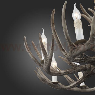 Люстра из рогов St Luce SL154.703.08
