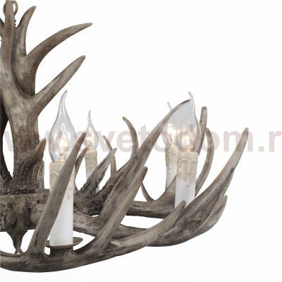 Люстра из рогов St Luce SL154.703.08