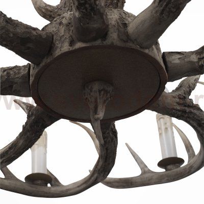 Люстра из рогов St Luce SL154.703.08