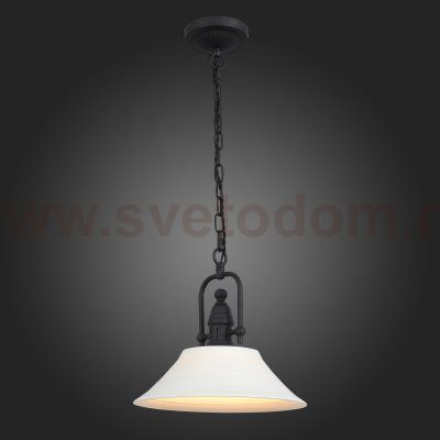 Светильник подвесной St luce SL261.503.01 PITTURA