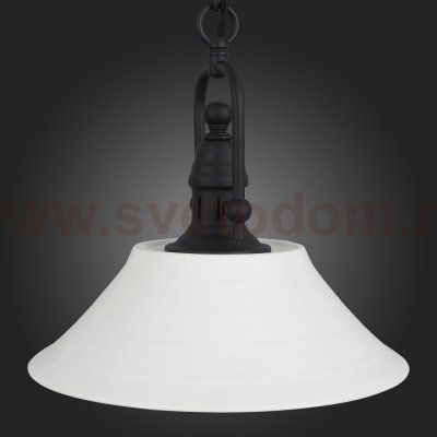 Светильник подвесной St luce SL261.503.01 PITTURA