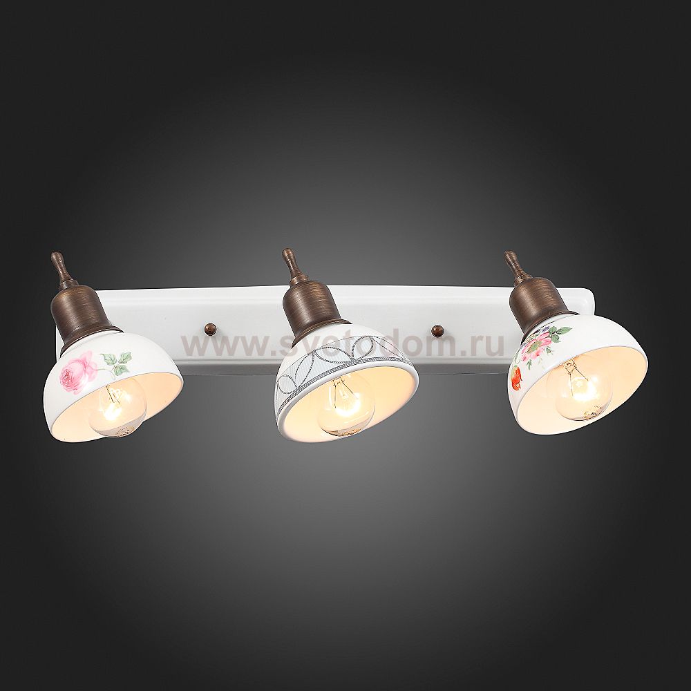 Светильник настенный бра St luce SL261.501.03 PITTURA