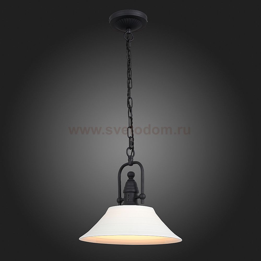 Светильник подвесной St luce SL261.503.01 PITTURA