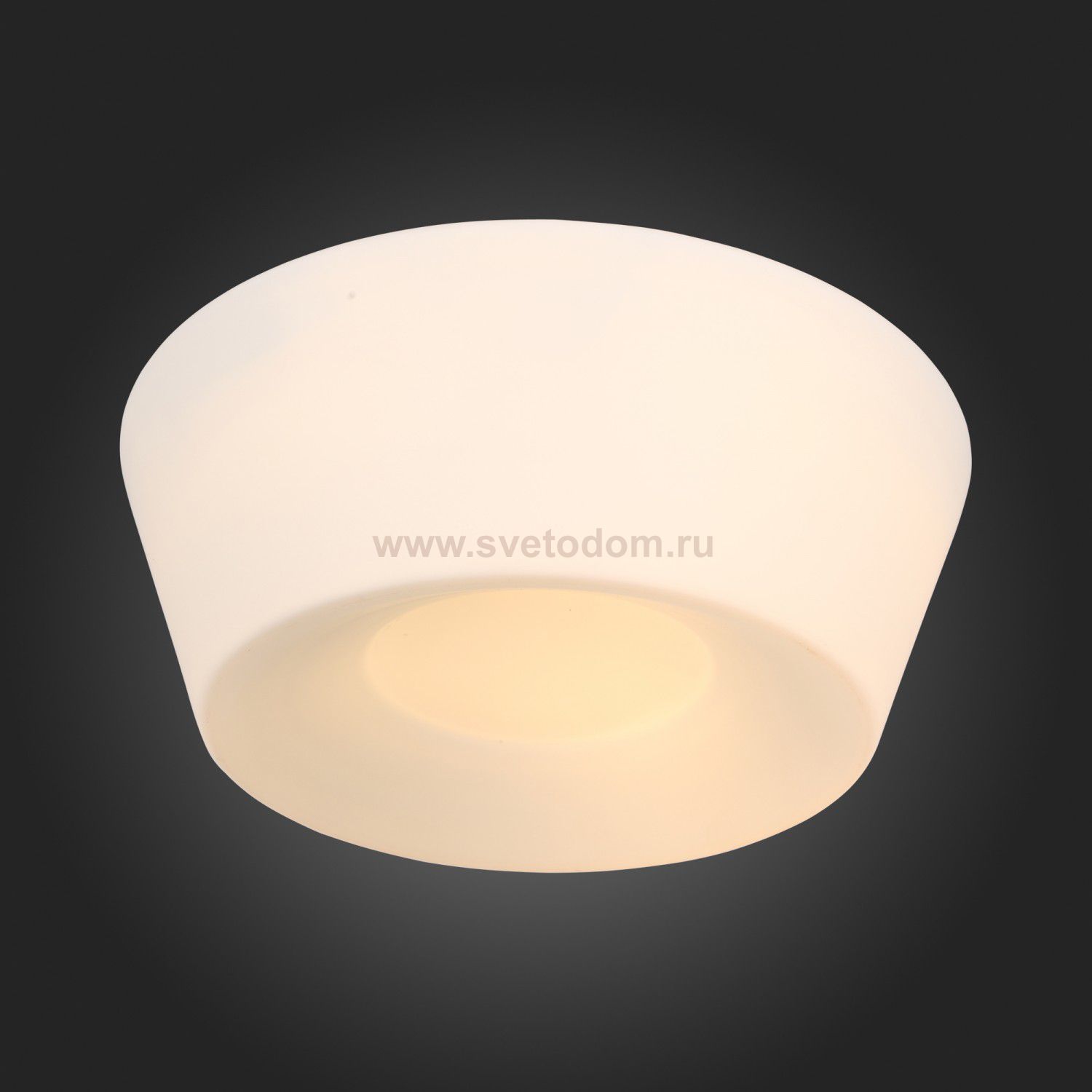Светильник настенно-потолочный St luce SL296.502.02 ADATTO