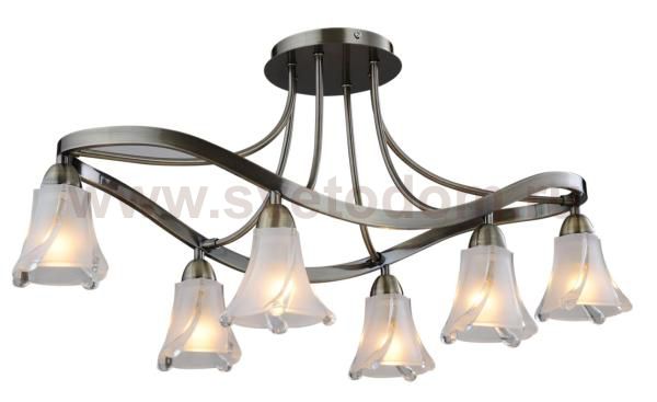 Светильник потолочный St luce SL306.302.06