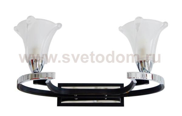 Светильник настенный бра St luce SL307.701.02 SL307