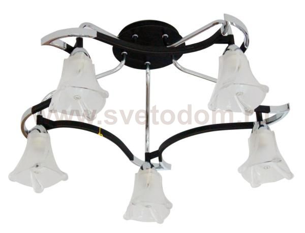 Светильник потолочный St luce SL307.702.05 SL307
