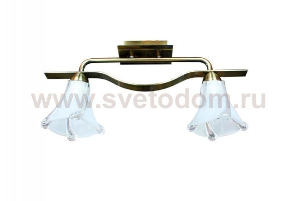 Светильник потолочный St luce SL308.302.02