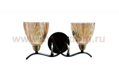 Светильник настенный бра St luce SL315.301.02 SL315