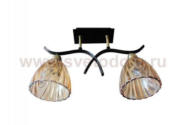 Светильник потолочный St luce SL315.302.02 SL315