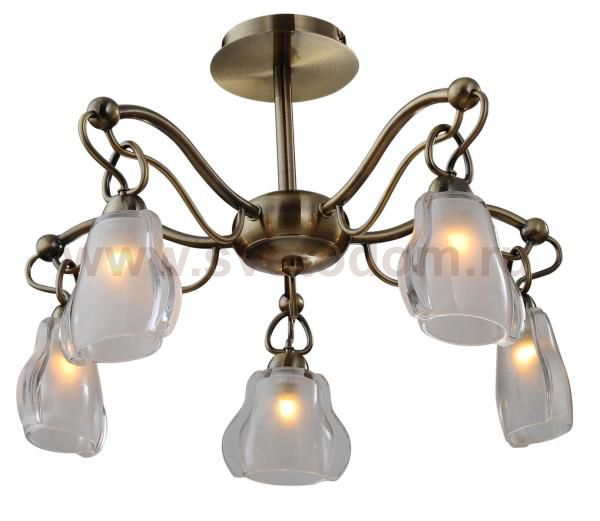 Светильник потолочный St luce SL316.302.05