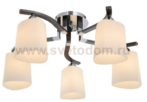 Светильник потолочный St luce SL320.702.05 SL320