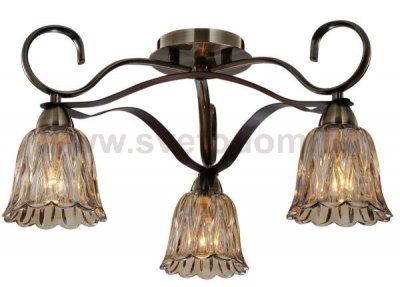 Светильник потолочный St luce SL324.302.03 SL324