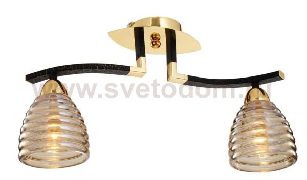 Светильник потолочный St luce SL325.202.02 SL325