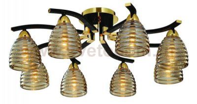Светильник потолочный St luce SL325.202.08 SL325
